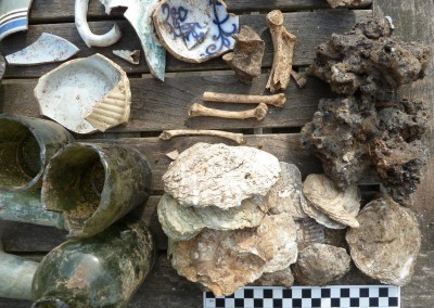 Oyster shells, bones and crab’s claw 1870s