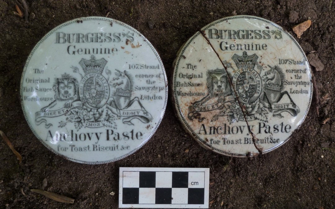 Lids for Burgess’s Genuine Anchovy Paste